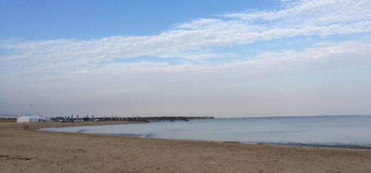Un terrain à la Tranche-sur-mer Un terrain à la Tranche-sur-mer