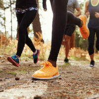 Legs and shoes of four young adults running in forest, crop